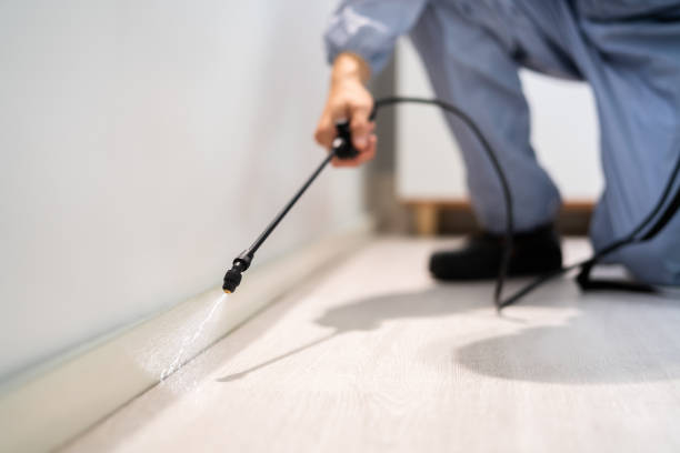 Licensed Pest Control service in Versailles, OH - Show Me Pest Control